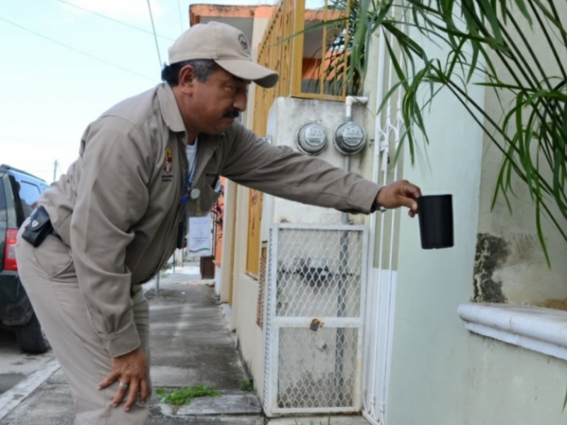 Confirman 9 casos positivos de dengue.