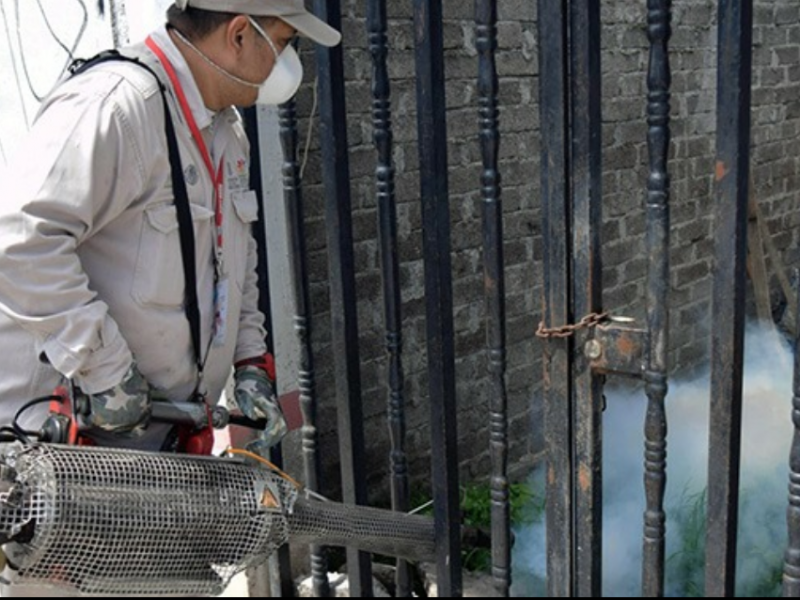 Confirman caso positivo de dengue en Ecuandureo