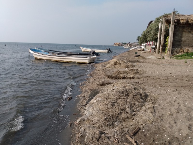 Confirman la contaminación en Playa Vicente