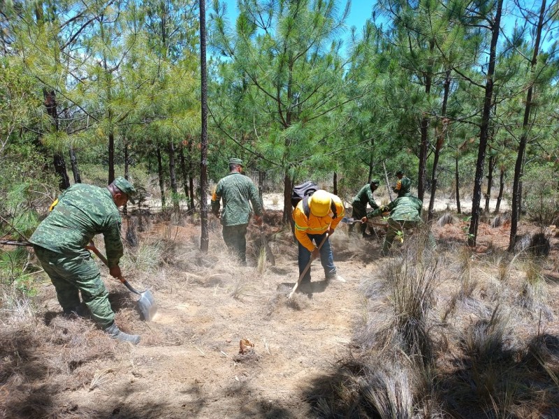 Confirman liquidación de incendios ocurridos en Perote