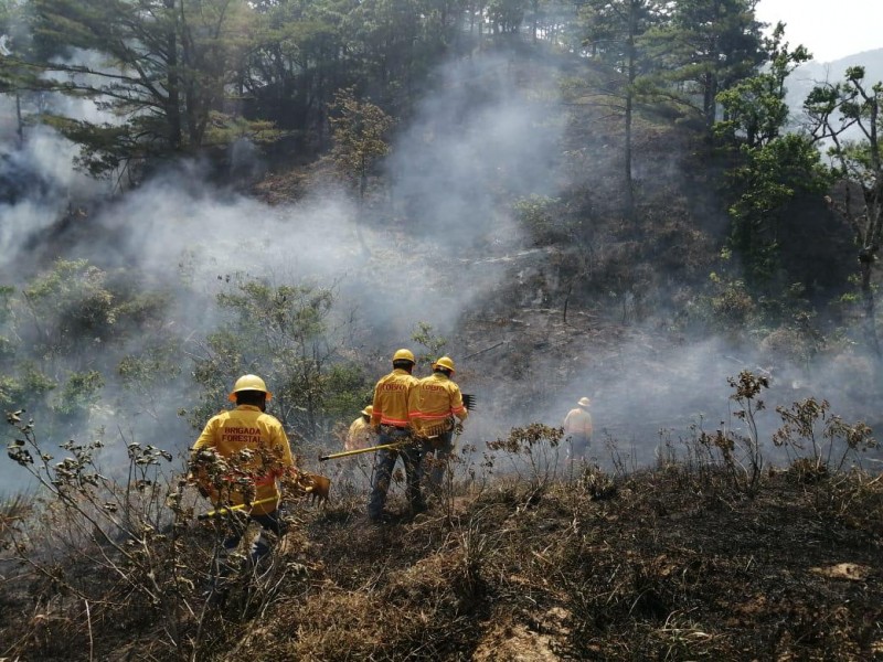 Confirman ocho personas muertas y tres desaparecidos en incendio