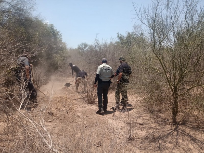 Confirman restos encontrados pertenecen a Tomas Rojo