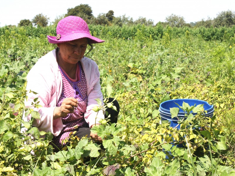 Conmemoran Día Internacional de la Mujer Rural