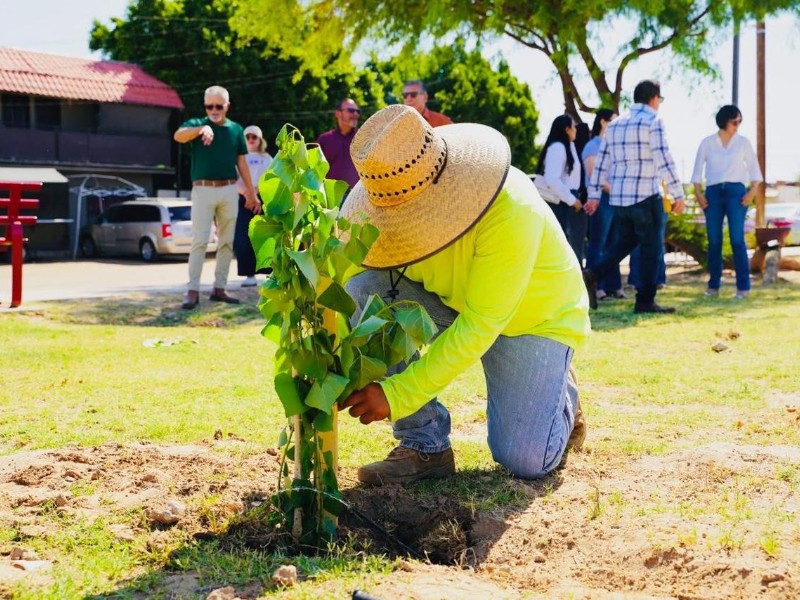 Conmemoran Día Mundial del Medio Ambiente con jornada de reforestación