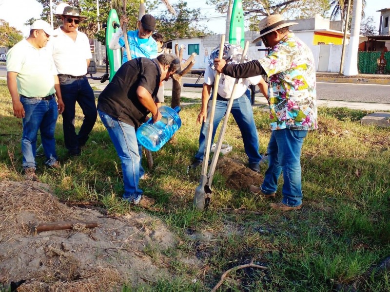 Conmemoran el Día de la Tierra reforestando