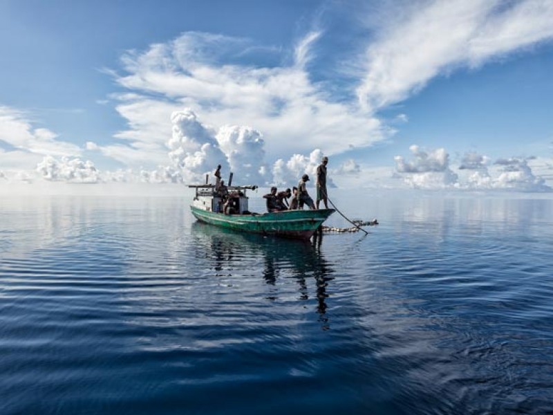 Conmemoran el Día Mundial de la Pesca