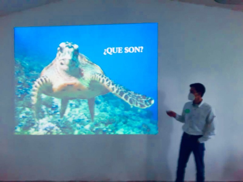 Conmemoran el Día Mundial de la Vida Silvestre en Tuxpan