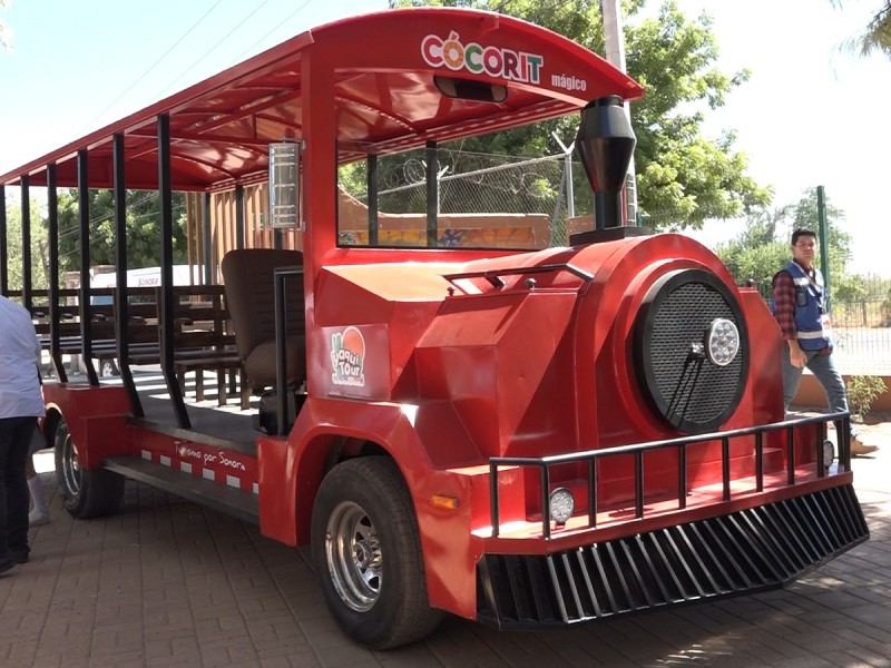 Conoce el Yaqui-Tour: un viaje por la historia de Cócorit