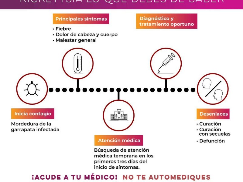 Conoce los síntomas de alerta de rickettsia, es mortal