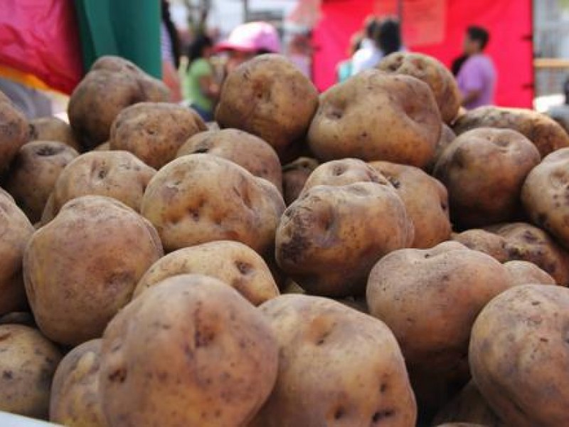 ConPapa intensifica medidas contra plagas cuarentenarias