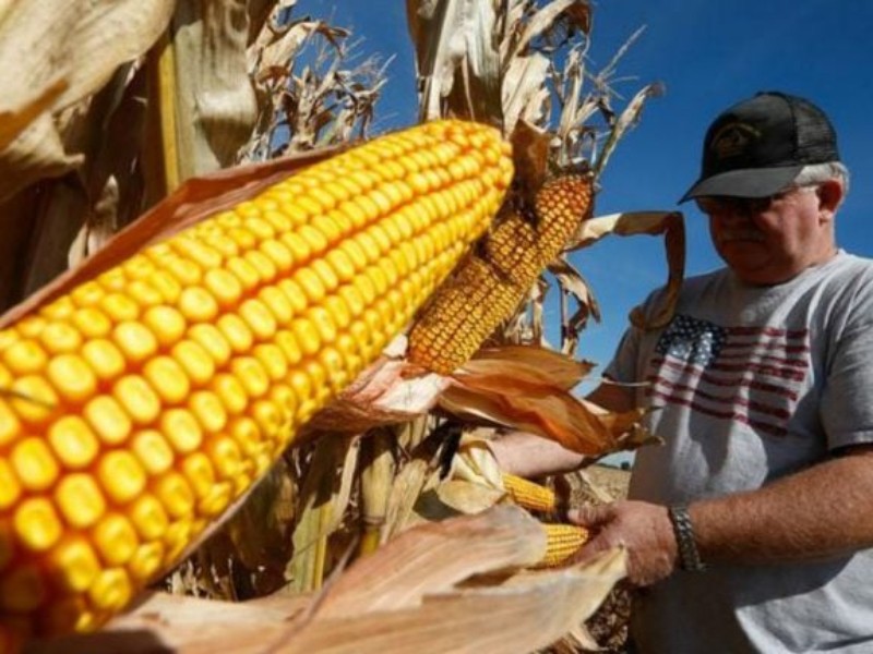 Consejo Agroalimentario de Jalisco respalda creación del Sistema de Comercialización del Maiz Consejo Agroalimentario de Jalisco respalda creación del Sistema de Comercialización del Maiz