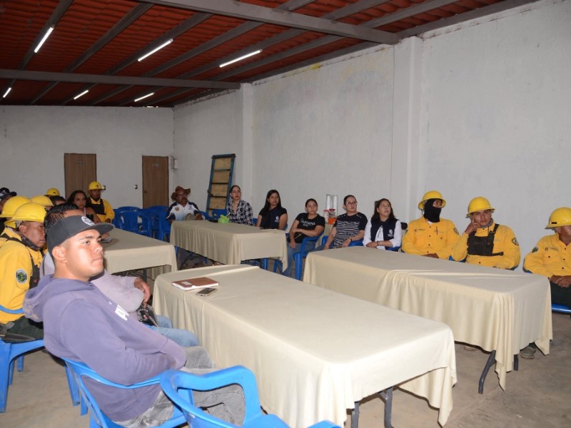 Conservación Forestal en Tangancícuaro