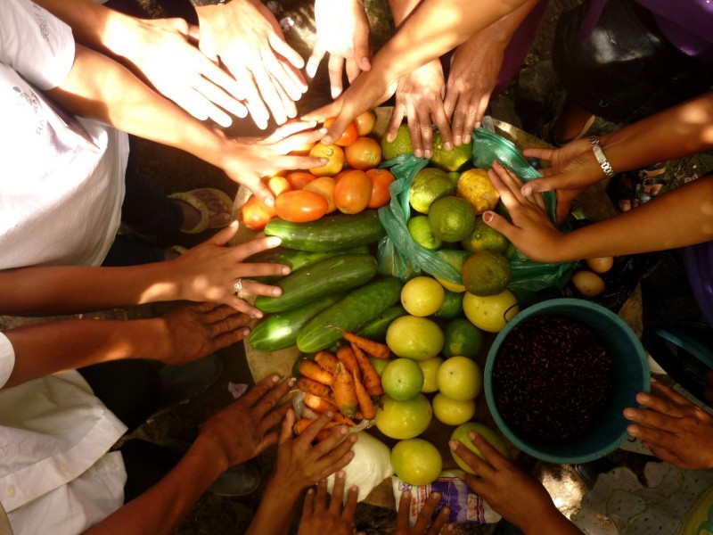 Consideran América Latina como clave para la seguridad alimentaria global