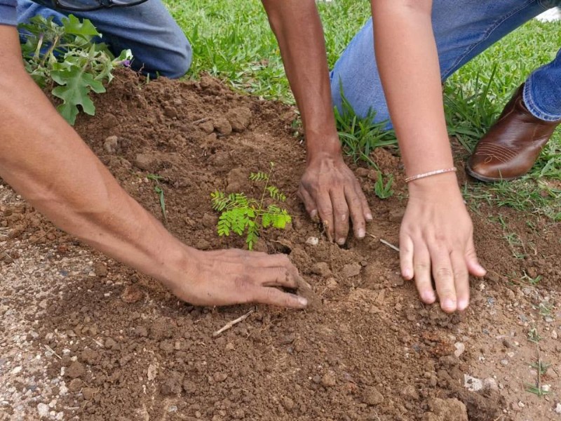 Consolidan acciones de reforestación en Guanajuato para conservación de la naturaleza
