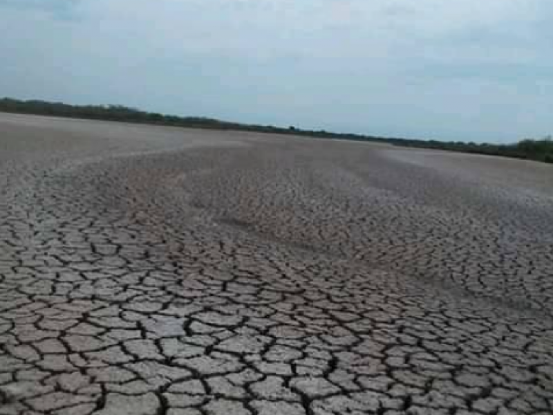 Construcción de puente provoca desertificación de lagunas en Tecuala