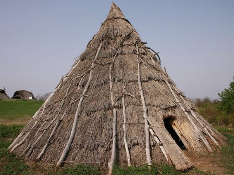 Construcciones humanas con madera son más antiguas de lo pensado