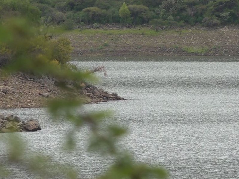Constructores locales buscan participar en la proveeduría de la presa Tunal II