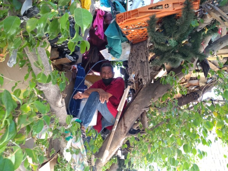 En un yucateco, un hombre construye su casa de árbol