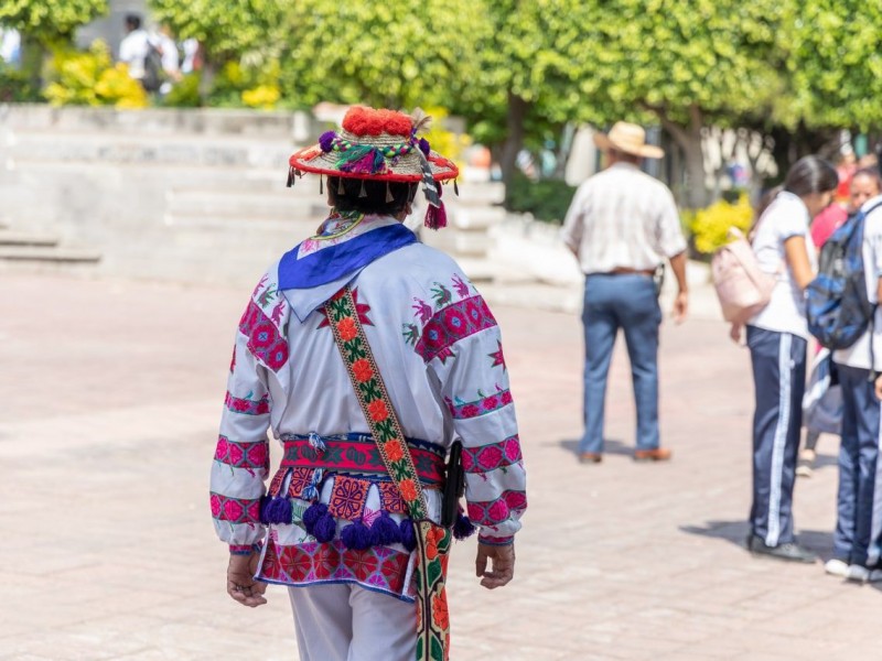 Consulta a Pueblos originarios inicia en mayo