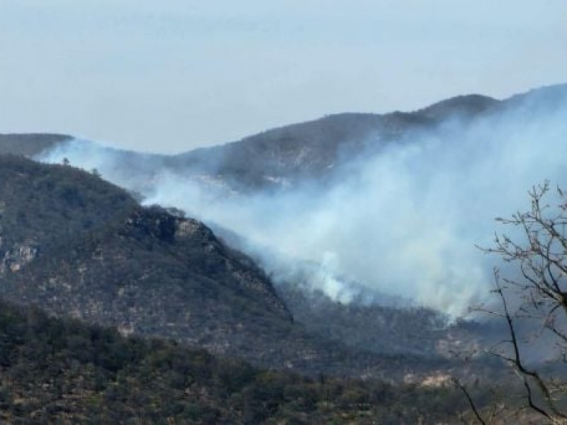 Consume incendio casi dos mil hectáreas en Sierra de Guanajuato