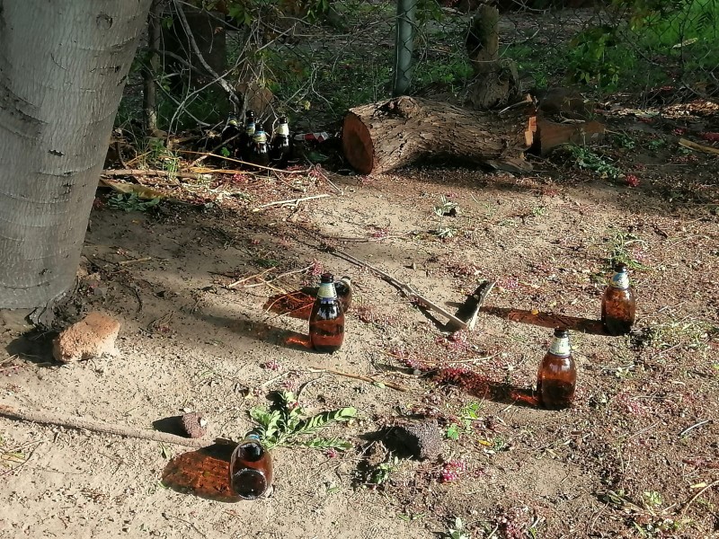 Denuncian consumo de alcohol y falta de mantenimiento en el Ecoparque