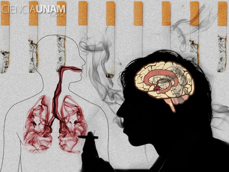Consumo de tabaco aumenta trastornos mentales