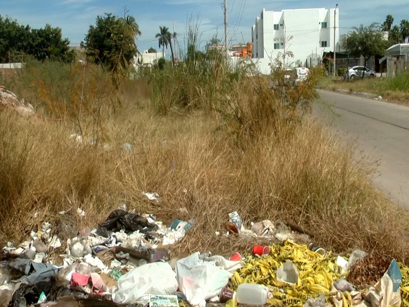 Vecinos del sector Cuauhtémoc demandan atención a solares baldíos