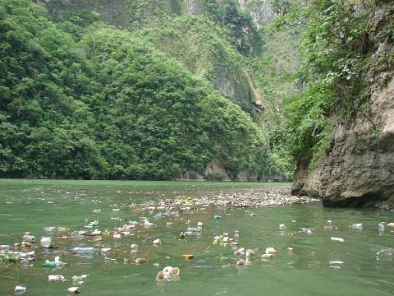 Contaminación afecta a fauna del Cañón del Sumidero