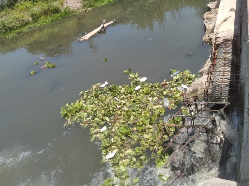 Contaminación del río principal causa de muerte de peces