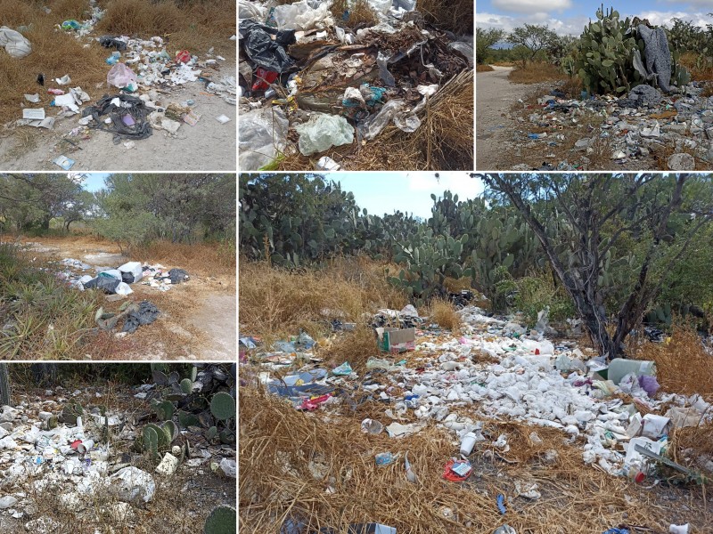 Contaminación en cantera crece por instalación de contenedor (10 tiraderos)