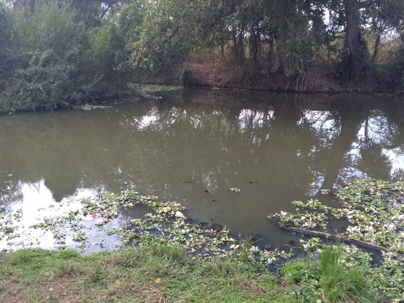 Contaminan aguas del río mayo