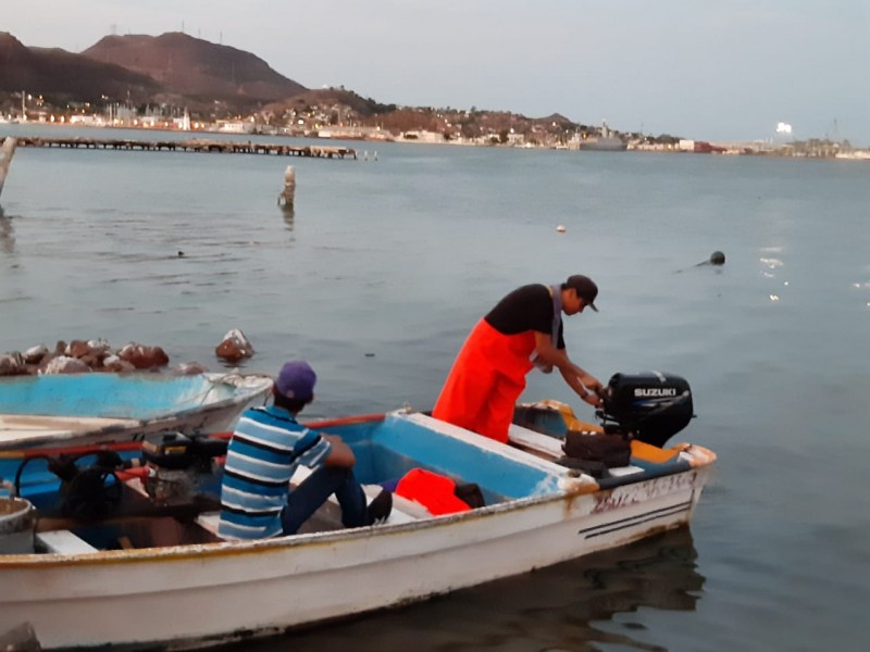 Contarán pescadores de Guaymas con seguro de vida