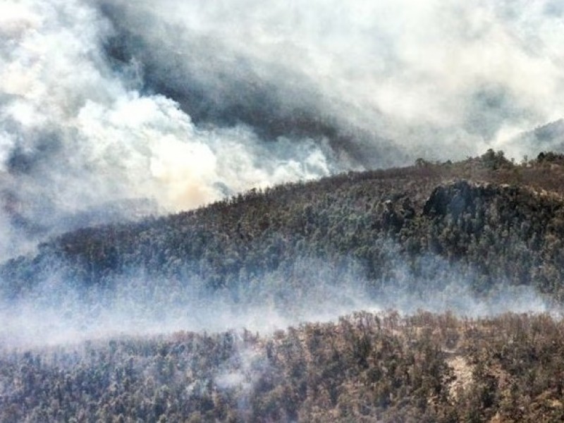 Contienen brigadistas avance de Incendio en Sierra de Santa Rosa