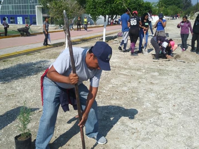 Contingencia obliga a reforestación en Tehuacán