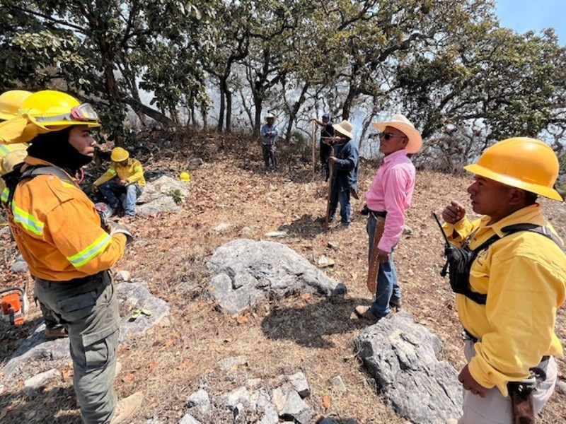 Continúa atención a complejo de incendios forestales en Tepelmeme, Oaxaca