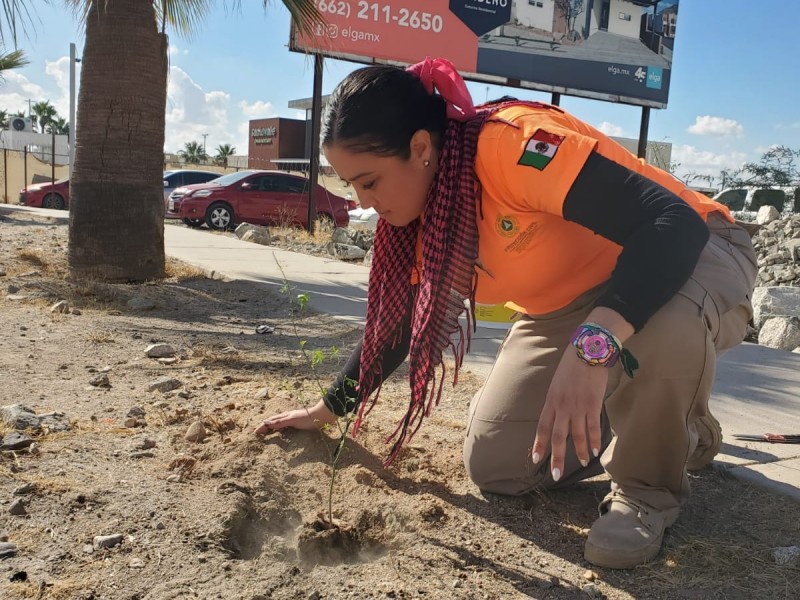 Continúa brigada con reforestación en espacios públicos