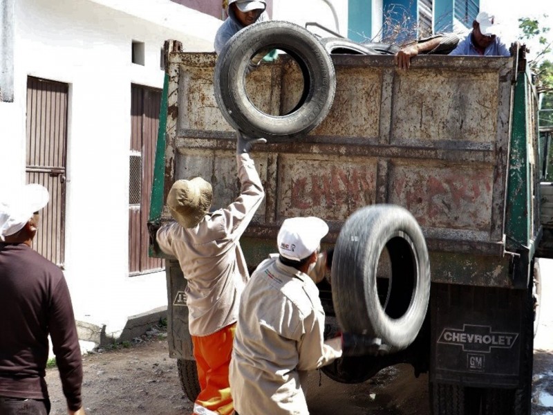 Continúa campaña contra el dengue en Tuxtla