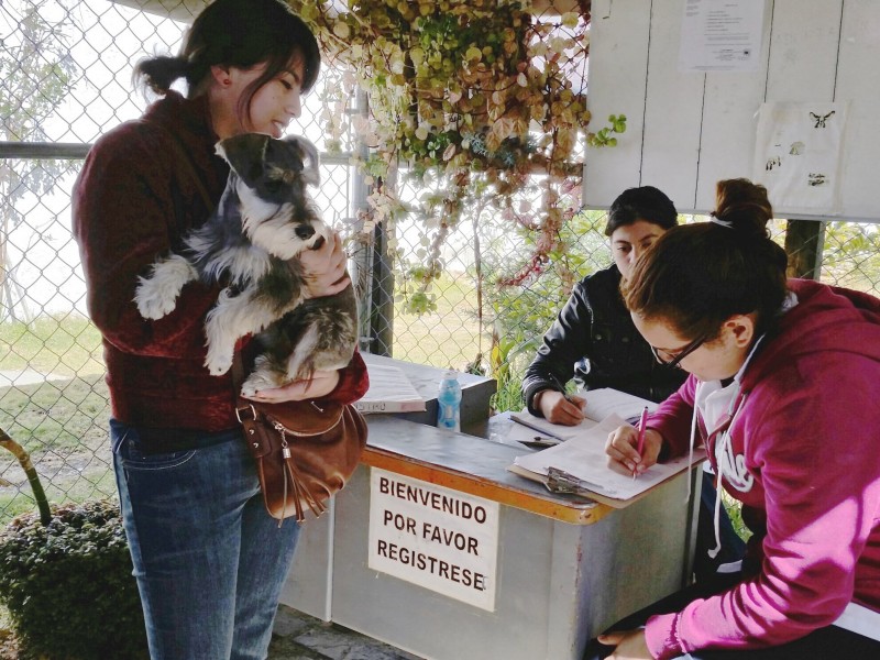 Continúa campaña de esterilización del CECAM