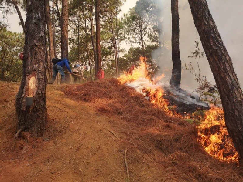 Continúa combate al incendio en cerro de la Cruz