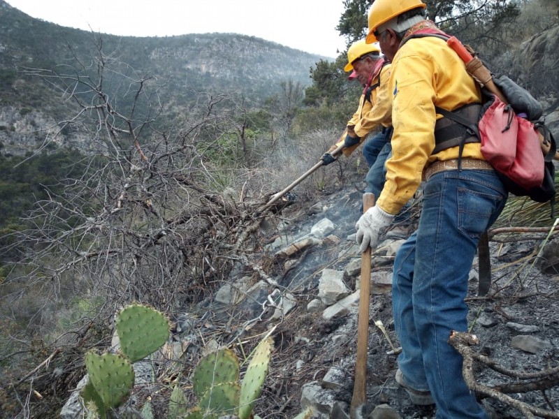 Continúa combate contra incendio forestal en Arteaga