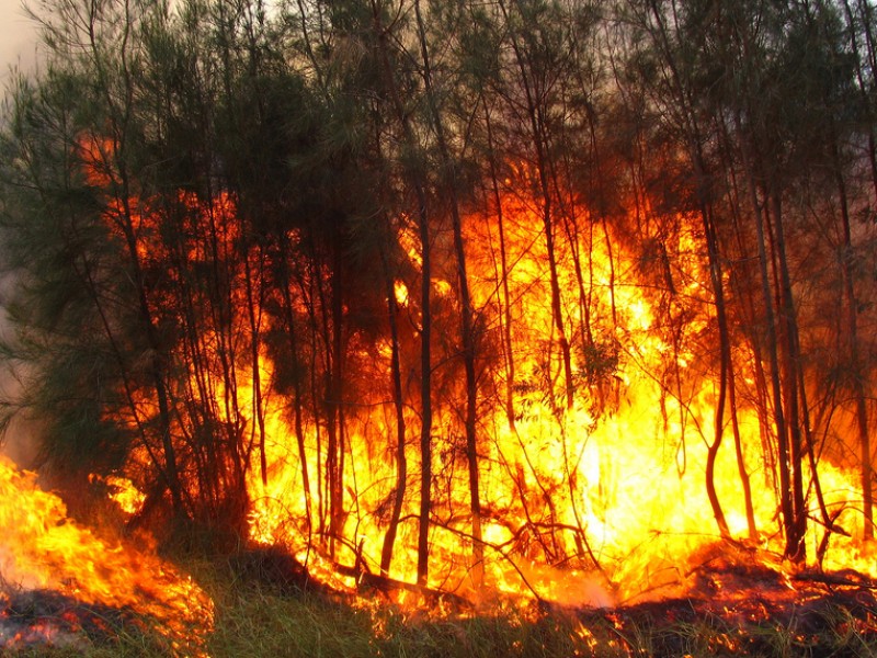 Continúa combate de incendios forestales