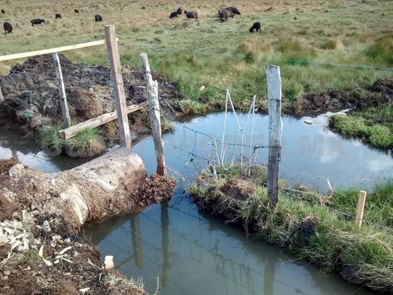 Continúa daño a humedales en SCLC