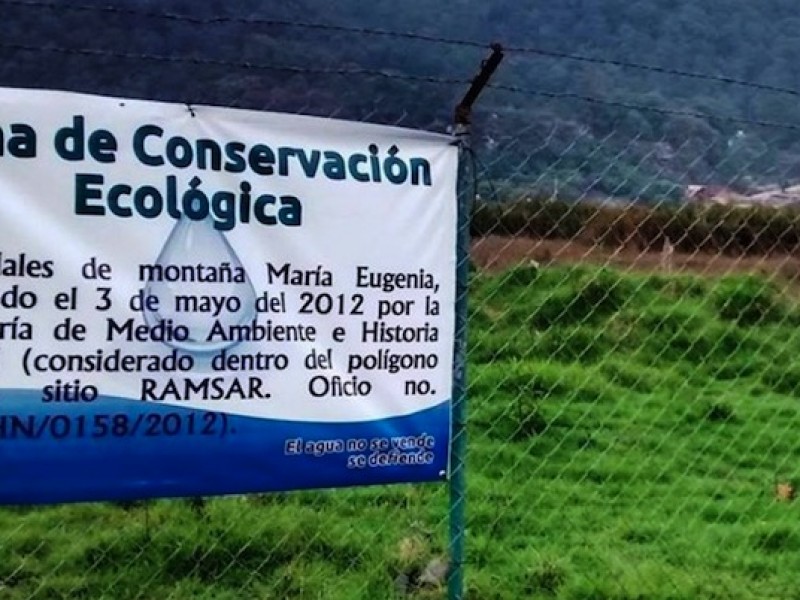 Continúa daño ambiental en humedales