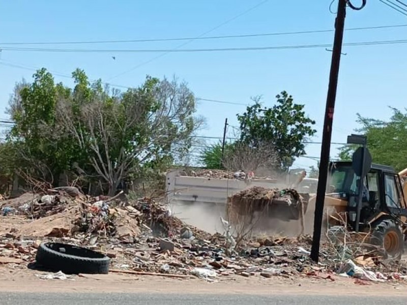 Continúa Desarrollo Urbano con limpia de predios abandonados