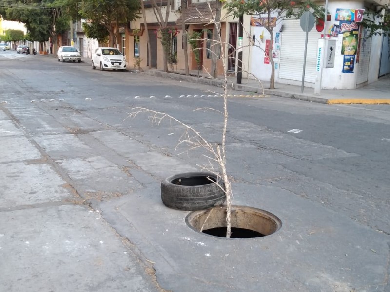 Continua el robo de coladeras en la ciudad