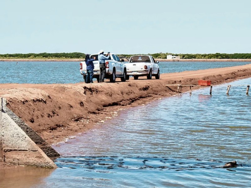 Continúa estancado el proyecto de electrificación para parques acuícolas