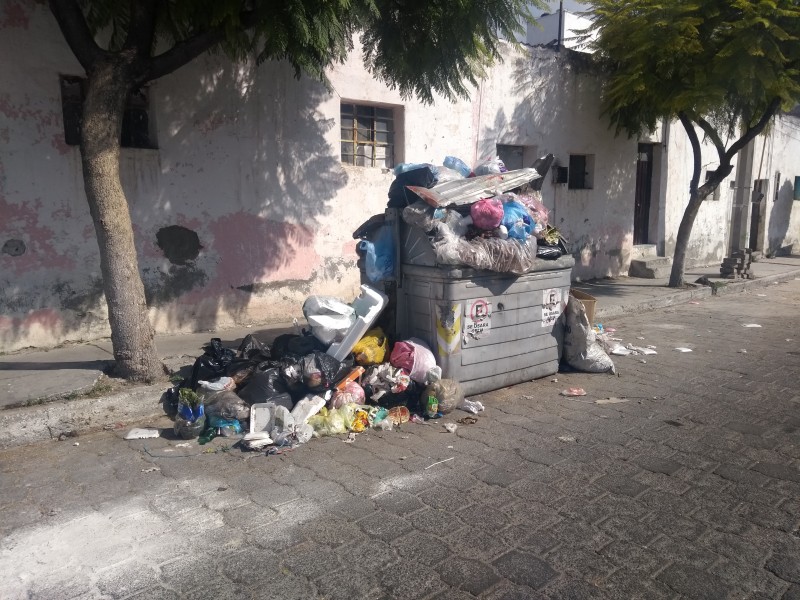 Continúa falta de recolección de basura en colonias