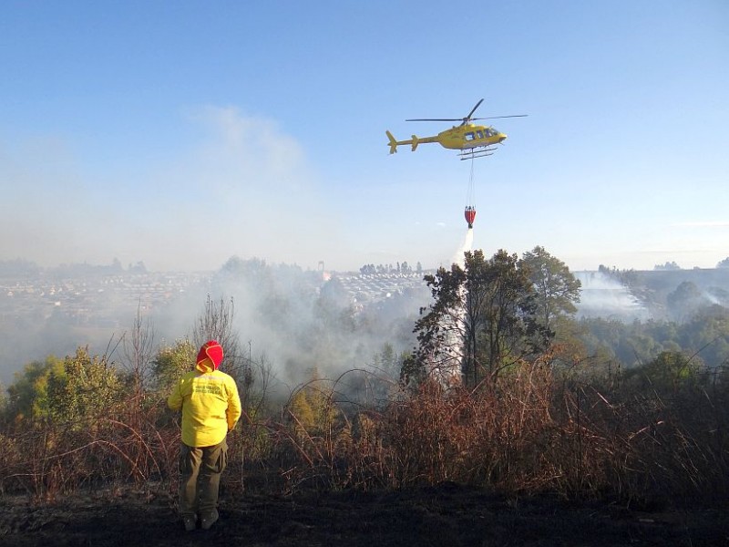 Continua incendio forestal en Jiménez del Teúl