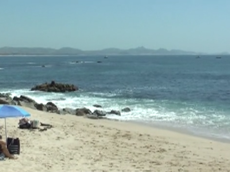 Continúa Los Cabos con 25 playas certificadas por Blue Flag