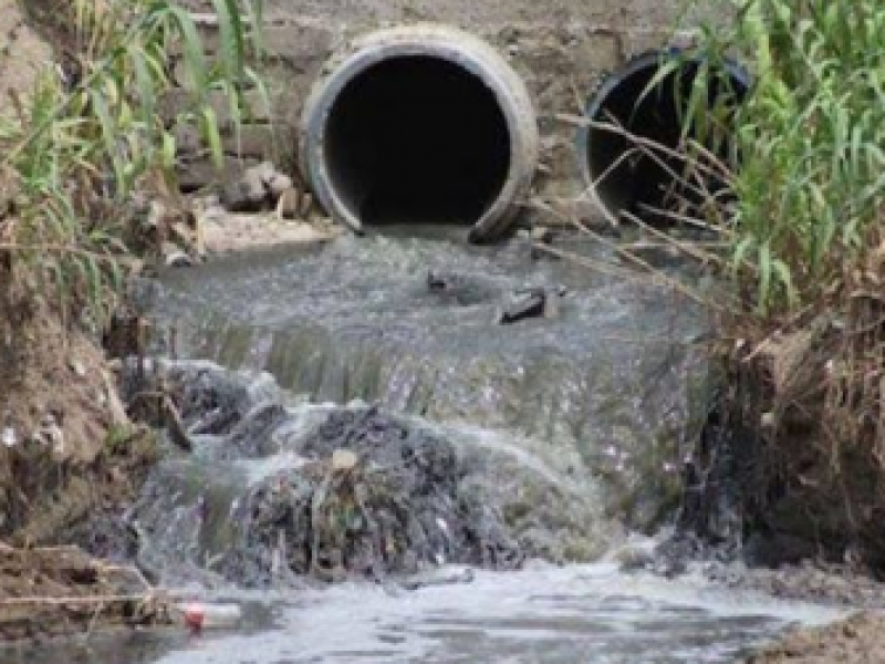 Continúa mortandad de peces en río Pacu